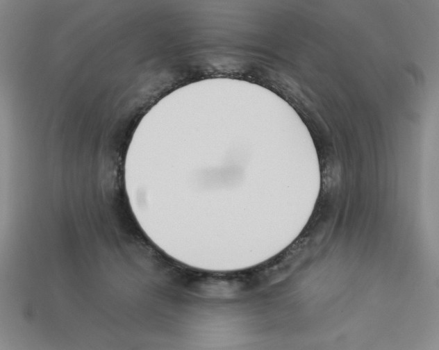 X0000112870464200910021336