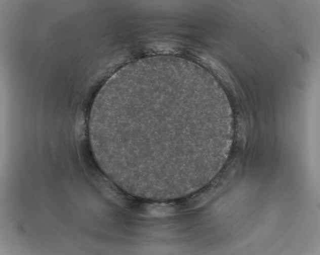 X0000112870465200910021336