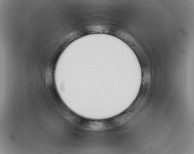 X0000112870469200910021336