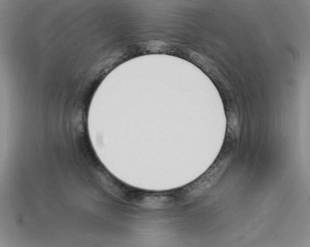 X0000112870470200910021336