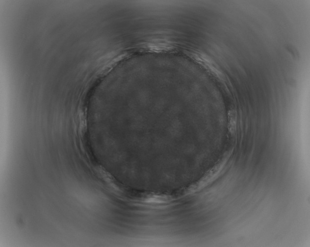 X0000112870471200910021336