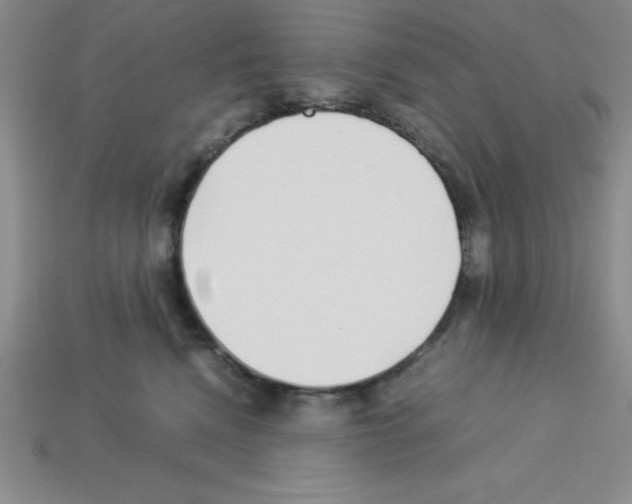 X0000112870472200910021336