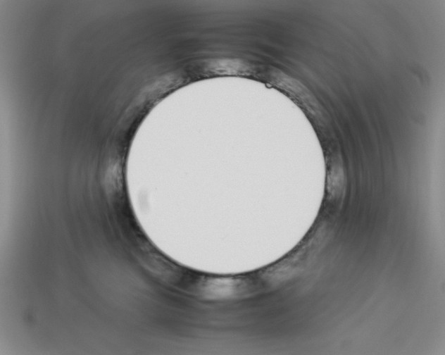 X0000112870473200910021336