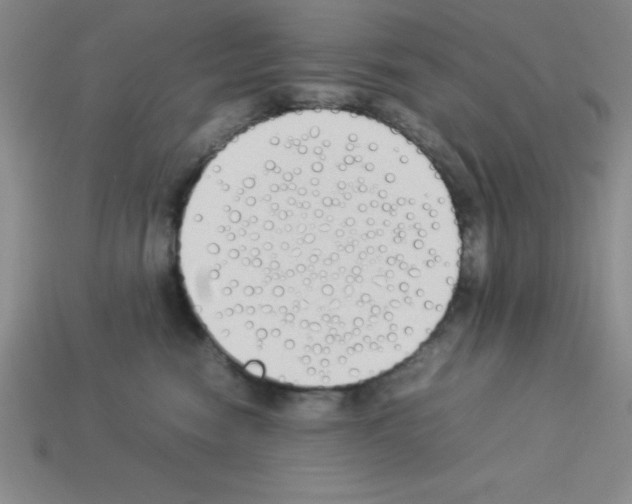 X0000112870474200910021336