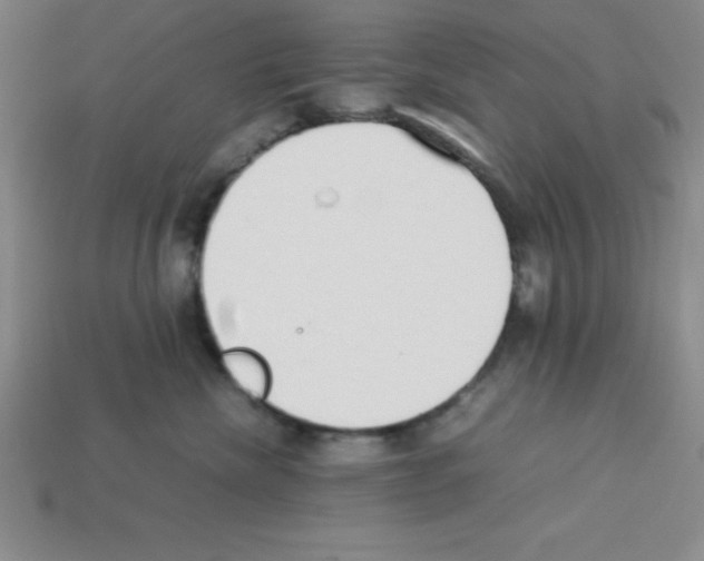 X0000112870476200910021336