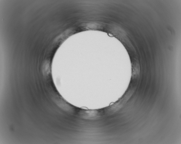 X0000112870478200910021336