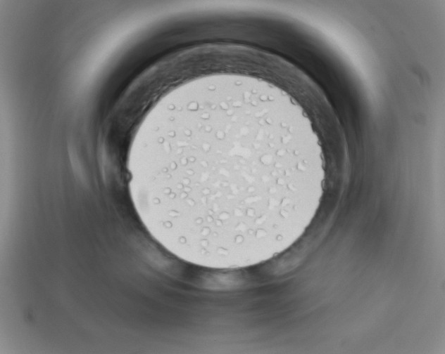 X0000112870479200910021336