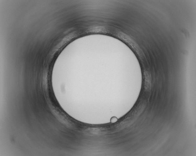 X0000112870482200910021336