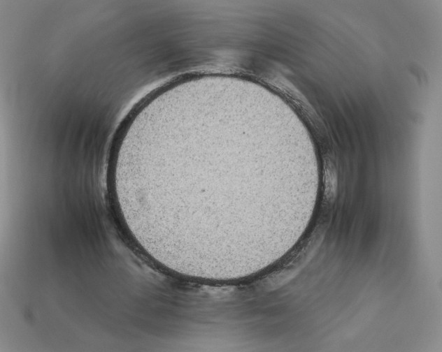 X0000112870484200910021336