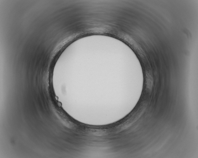 X0000112870486200910021336