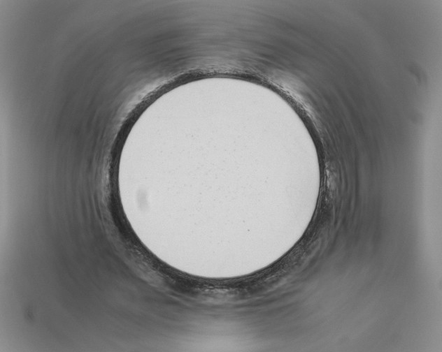 X0000112870487200910021336