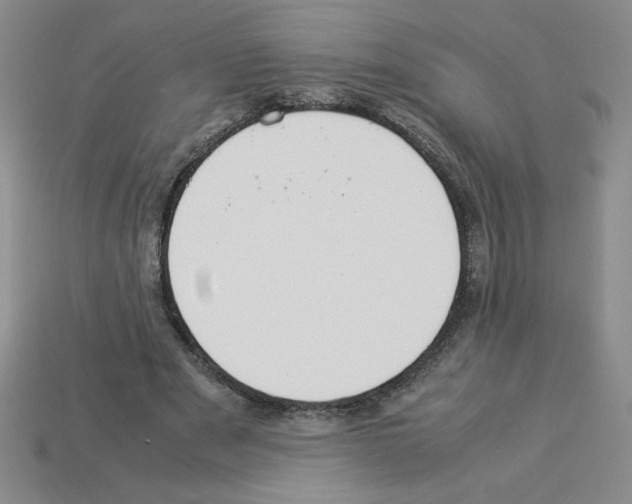 X0000112870489200910021336