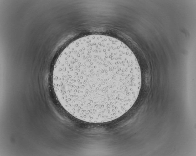 X0000112870491200910021336