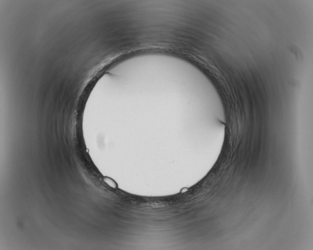 X0000112870492200910021336