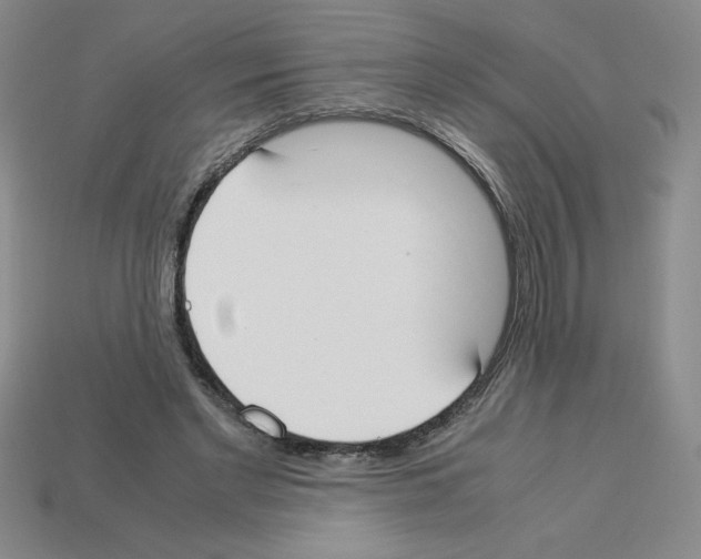 X0000112870493200910021336