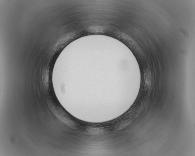 X0000112870494200910021336