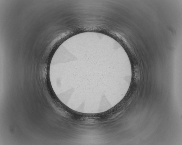 X0000112870495200910021336