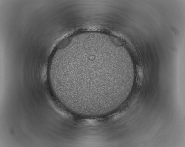 X0000112870496200910021336