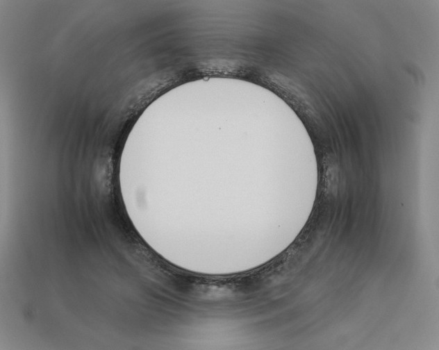 X0000112870498200910021336