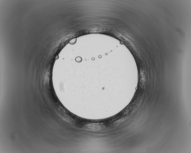 X0000112870499200910021336