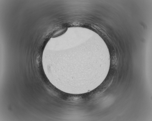 X0000112870503200910021335