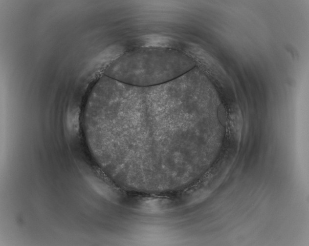 X0000112870504200910021335