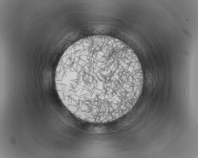 X0000112870506200910021335