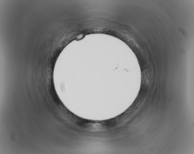 X0000112870509200910021335