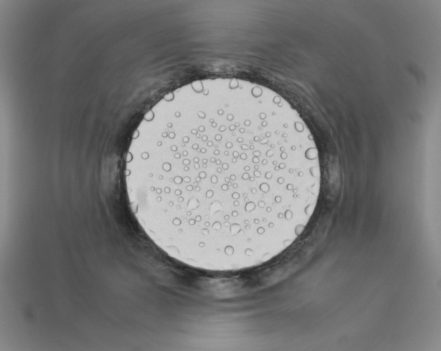 X0000112870511200910021335