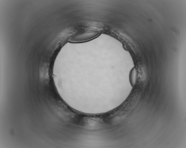 X0000112870512200910021335