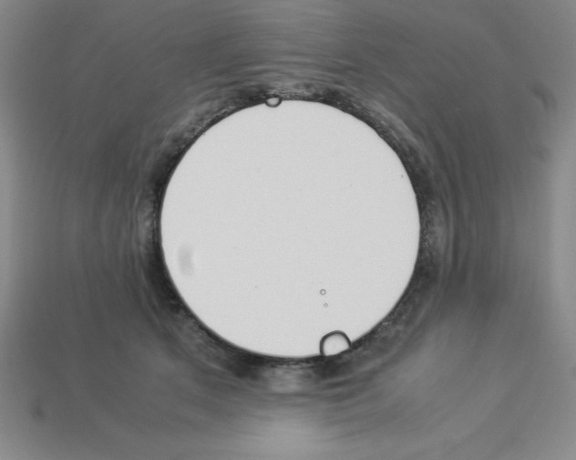 X0000112870513200910021335