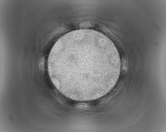 X0000112870519200910021335