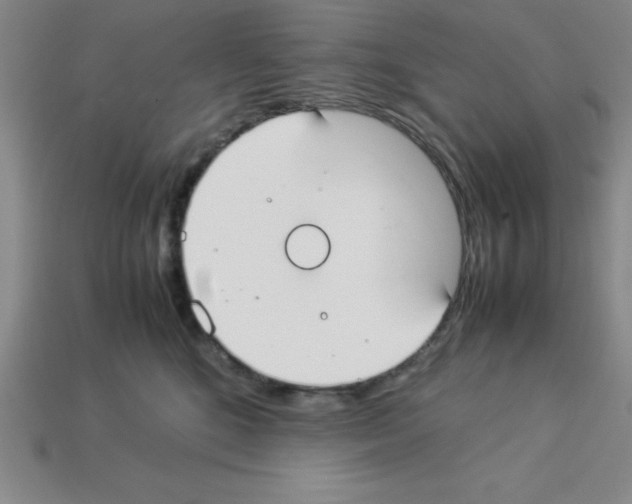 X0000112870520200910021335