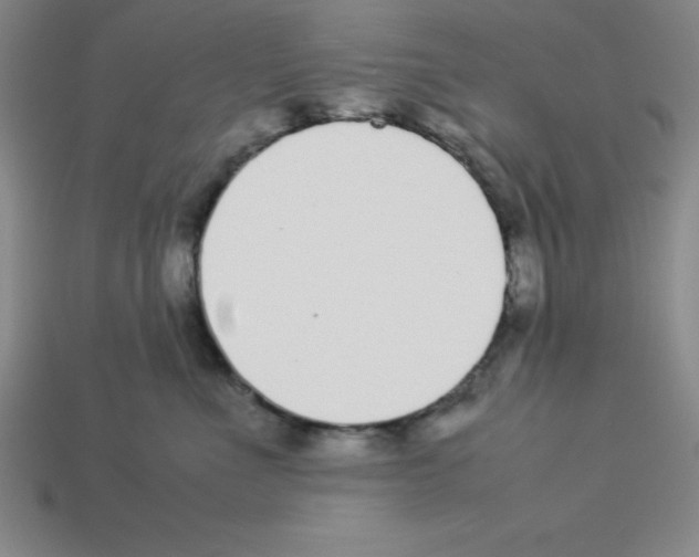 X0000112870523200910021335