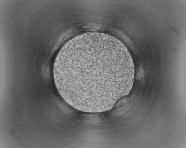 X0000112870524200910021335