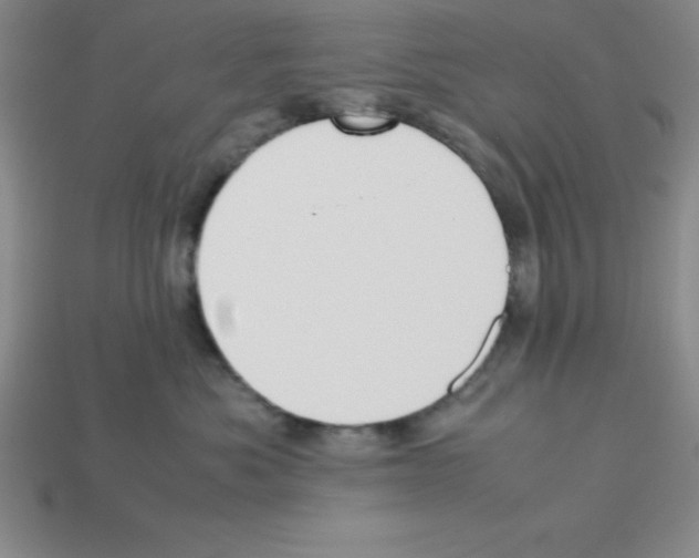 X0000112870525200910021335