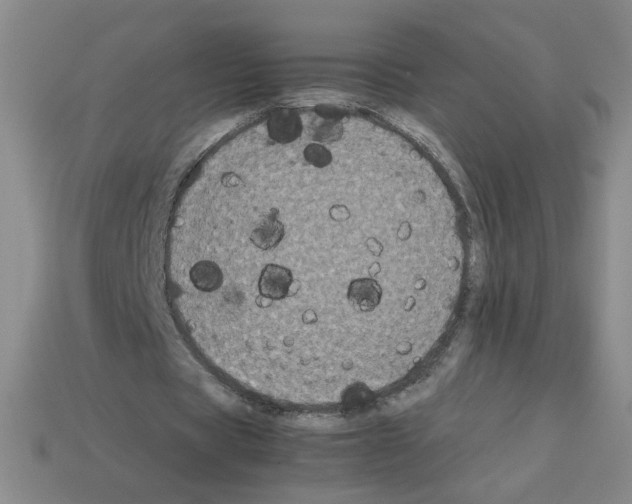 X0000112870529200910021334