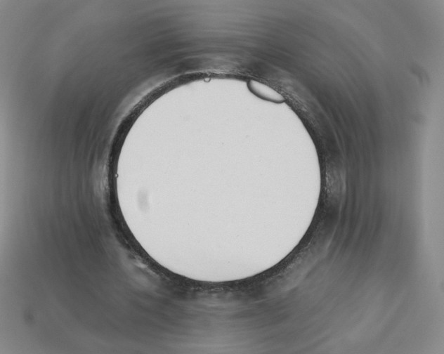 X0000112870532200910021334