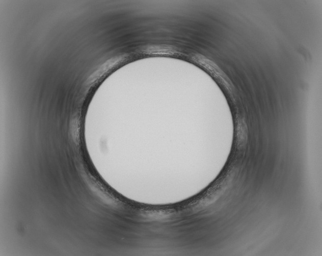 X0000112870533200910021334