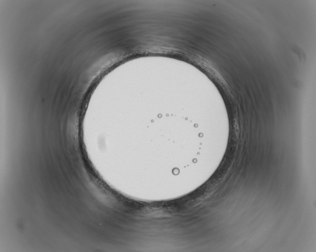 X0000112870534200910021334