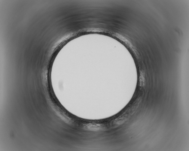 X0000112870535200910021334