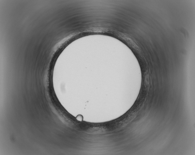 X0000112870536200910021334