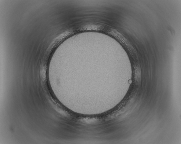 X0000112870537200910021334