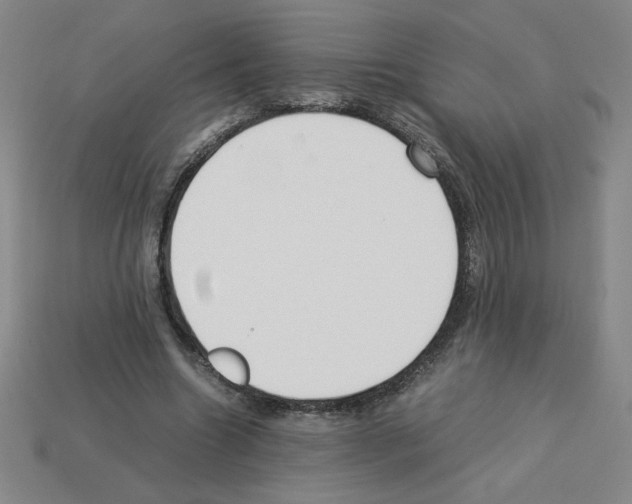 X0000112870538200910021334