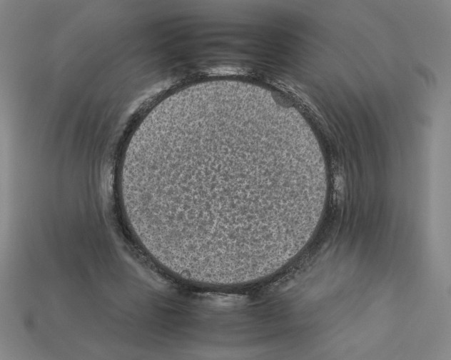 X0000112870539200910021334