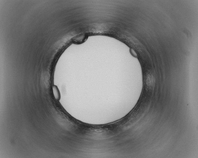 X0000112870540200910021335