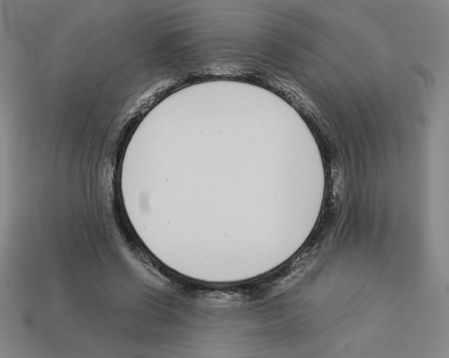 X0000112870542200910021335