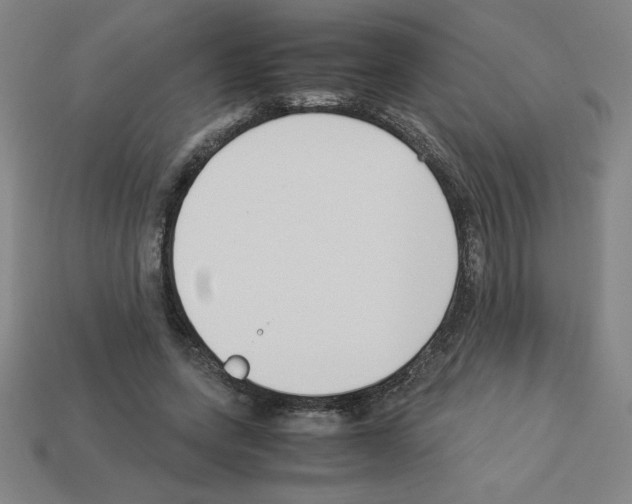 X0000112870543200910021335