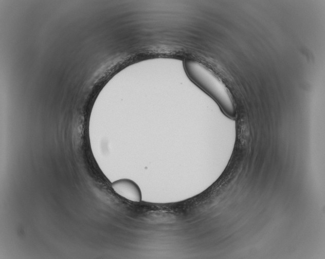 X0000112870544200910021335