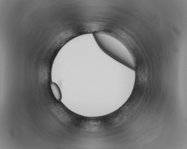 X0000112870546200910021335